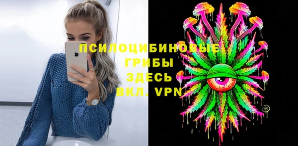 мдпв Белокуриха